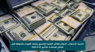 تحديث الأسعار.. الدولار مقابل الجنيه المصري يشهد تغيرات ملحوظة قبل افتتاح تعاملات الاثنين 15-9-2025
